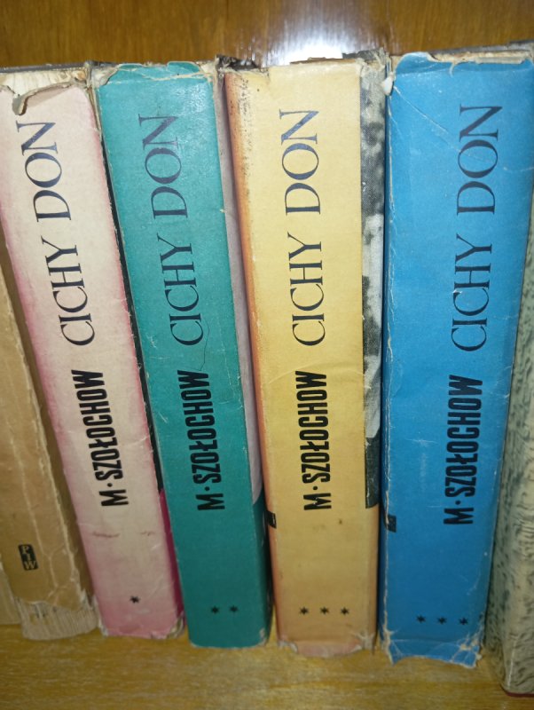 Powieść Cichy Dom M.Szolockow