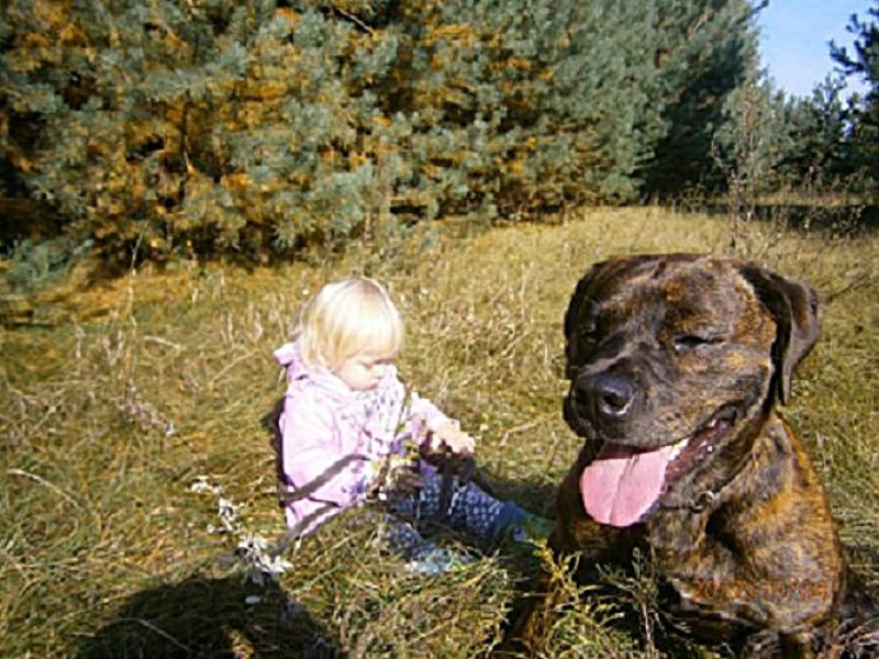 Zarób na CPK niektórzy już zarabiają!... - 01