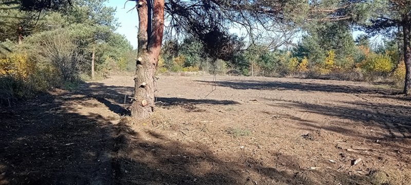 Zarób na CPK niektórzy już zarabiają!... - 04