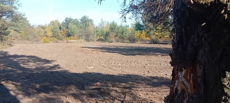 Zarób na CPK niektórzy już zarabiają!... - 05